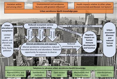 Compromised Ecosystem Services From Urban Aerial Microbiomes: A Review of Impacts on Human Immune Function